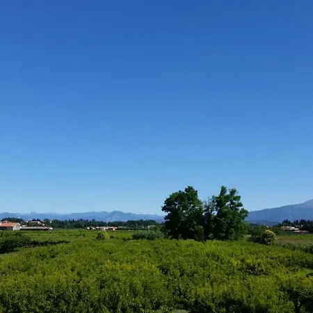 La Crosona Apartman Colà