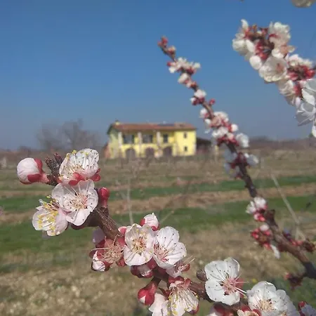 La Crosona Apartman Colà