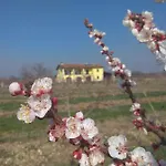 La Crosona Apartmán Colà