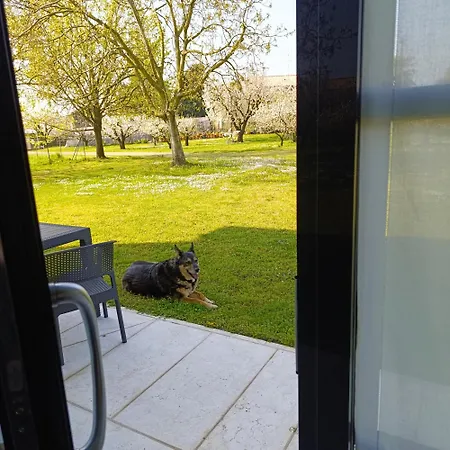 Apartamento La Crosona *