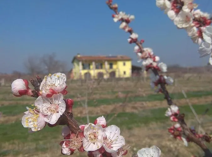 La Crosona Apartamento Colà