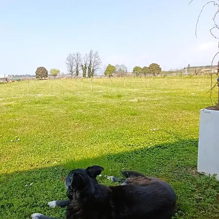 La Crosona