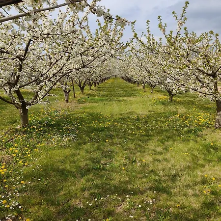 La Crosona Apartment