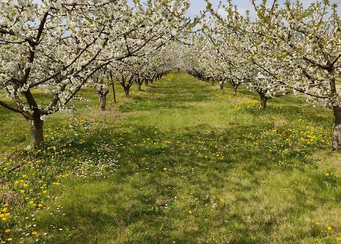 La Crosona Apartment