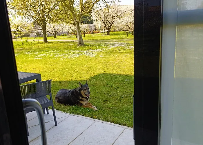 Apartment La Crosona *